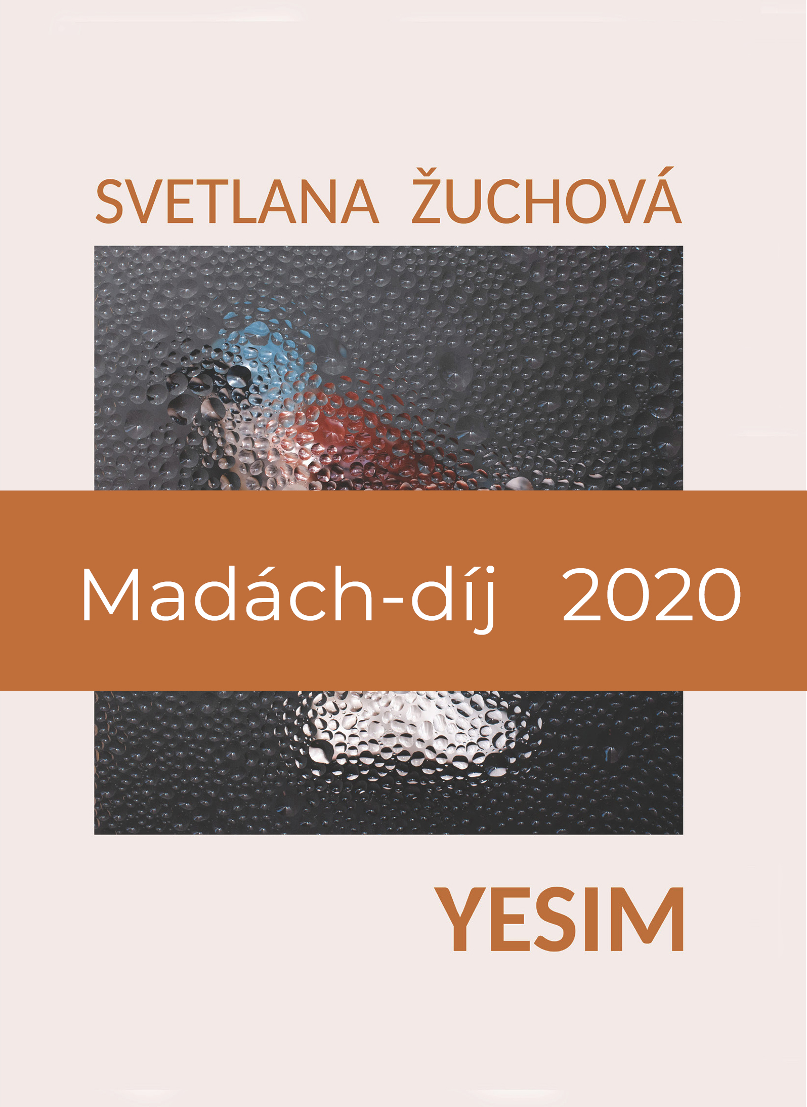svetlana žuchová yesim madách-díj 2020 e-book